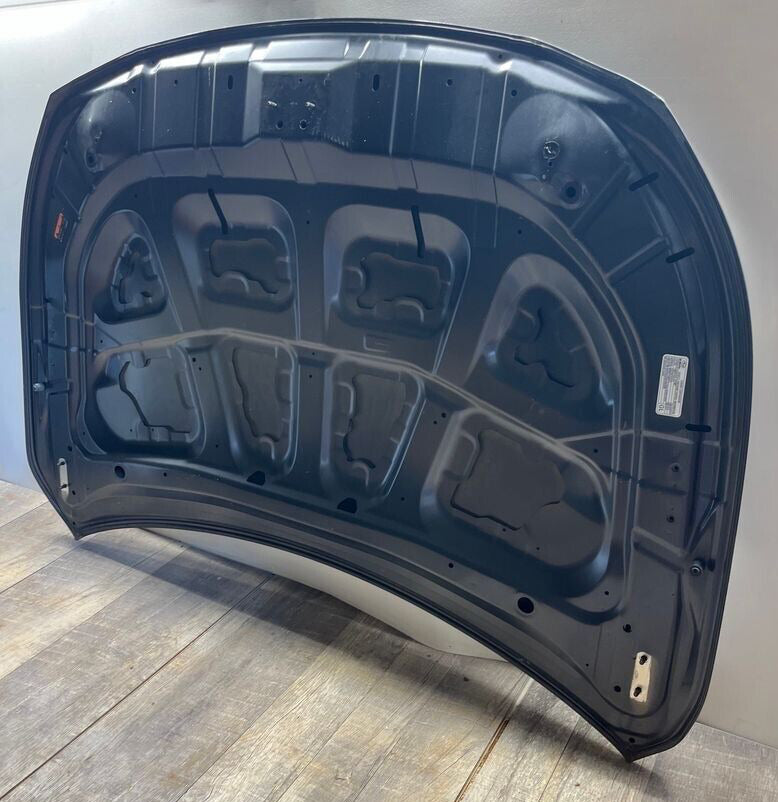 2015-19 Subaru Outback Legacy Hood OEM LOCAL PICK UP