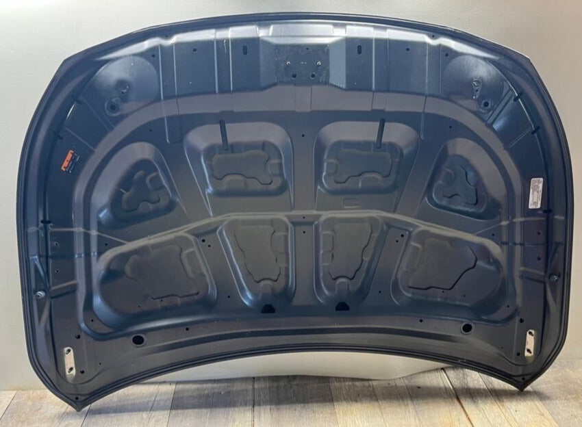 2015-19 Subaru Outback Legacy Hood OEM LOCAL PICK UP